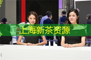 爱上海：您将遇到一群专注于茶艺和茶叶品质的茶叶师傅