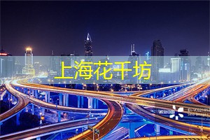 爱上海419论坛：感受上海后花园夜晚的迷人魅力，星空下的浪漫难以忘怀！