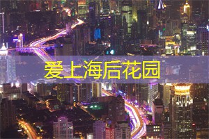 爱上海龙凤419：回望我的2011